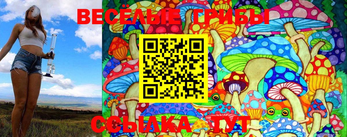 Камышлов  Галлюциногенные грибы GOLDEN TEACHER  Вход с VPN  цены   Псилоцибиновые грибы Magic Shrooms 
