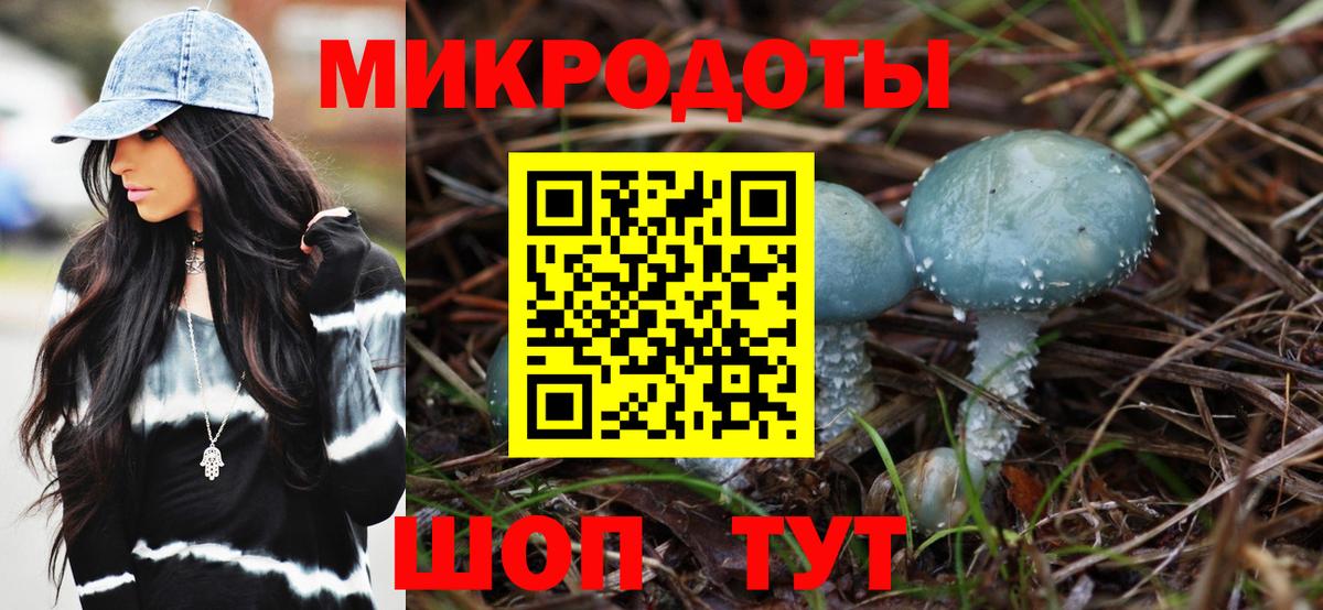 Галлюциногенные грибы мухоморы Камышлов