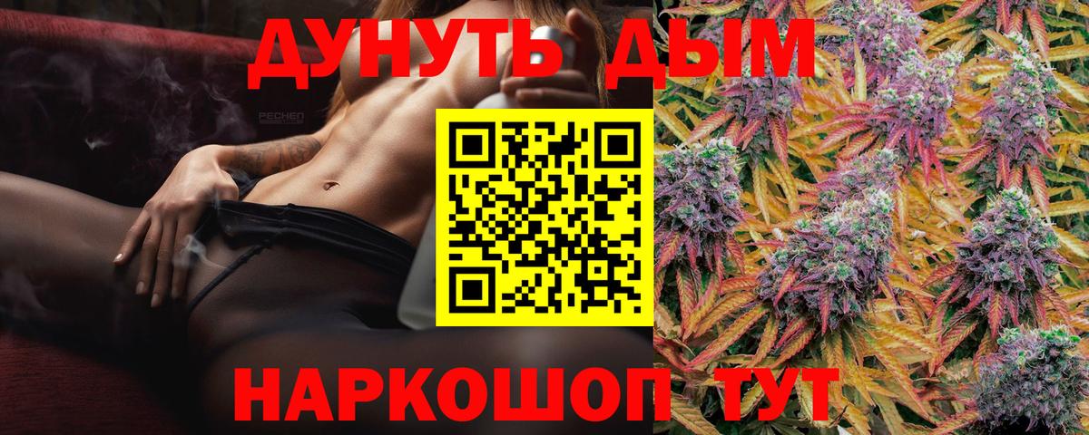 МАРИХУАНА сатива Камышлов
